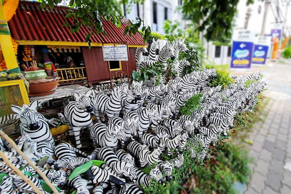 ม้าลายแก้บน