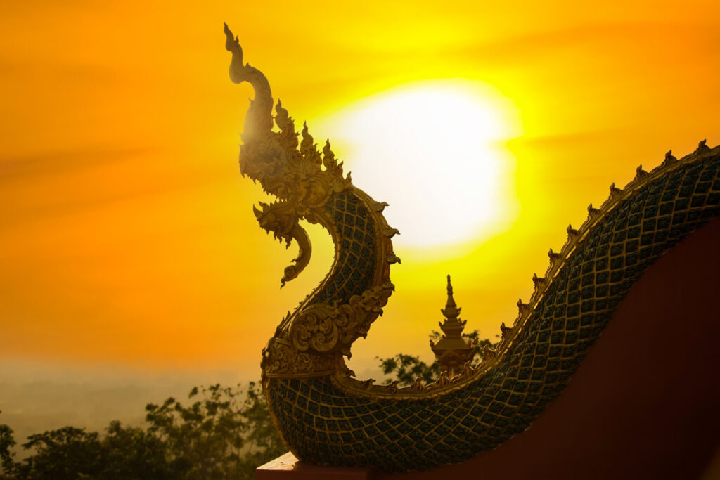 พญานาค 11