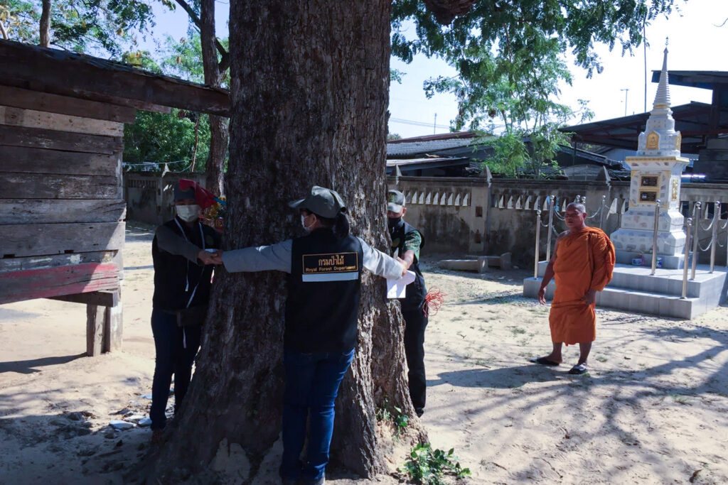 ห้ามปลูกต้นไม้ที่มาจากวัด