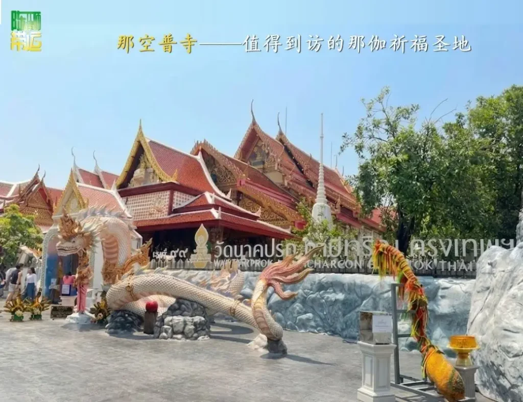 陈律师带运探访“纳普寺 ”——那伽信众不可错过! 拉廊佛塔 6 1