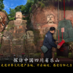 陈律师带运 1