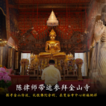 陈律师带运 1 2