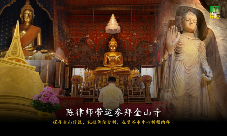陈律师带运 1 2