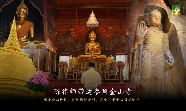 陈律师带运 1 2
