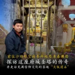 陈律师带运 16