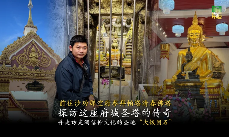 陈律师带运 16