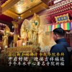 陈律师带运 17