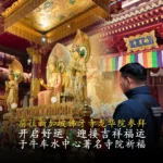 陈律师带运 17