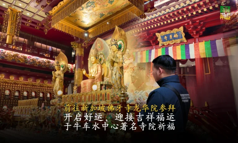 陈律师带运 17