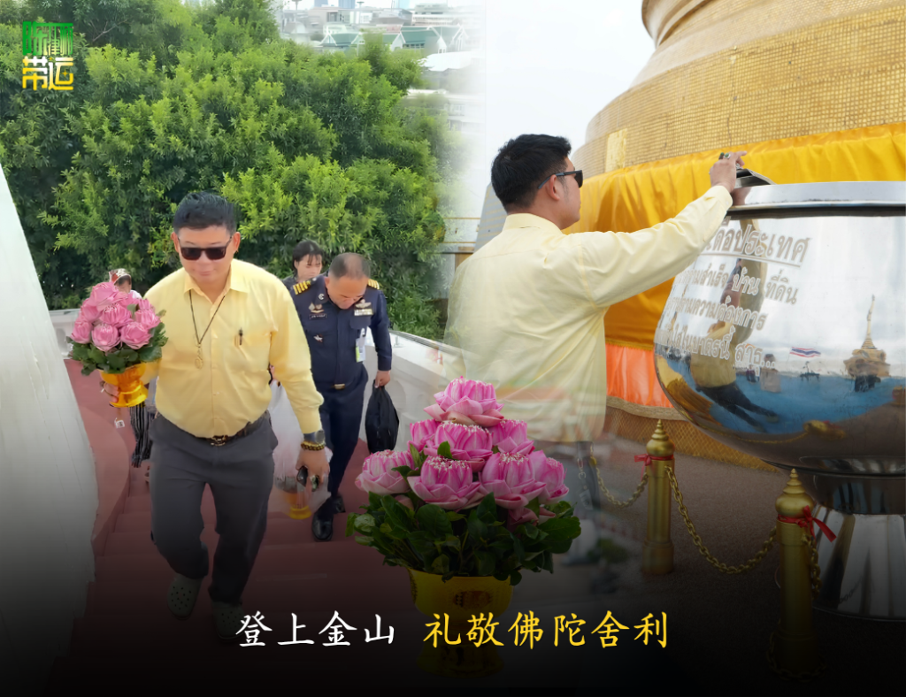 陈律师带运 2 4