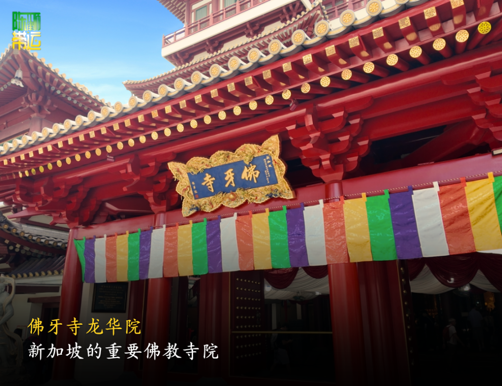 陈律师带运 2 7