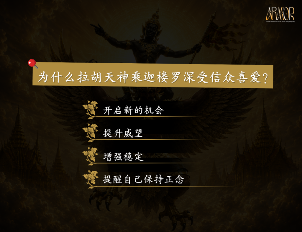 陈律师带运 4