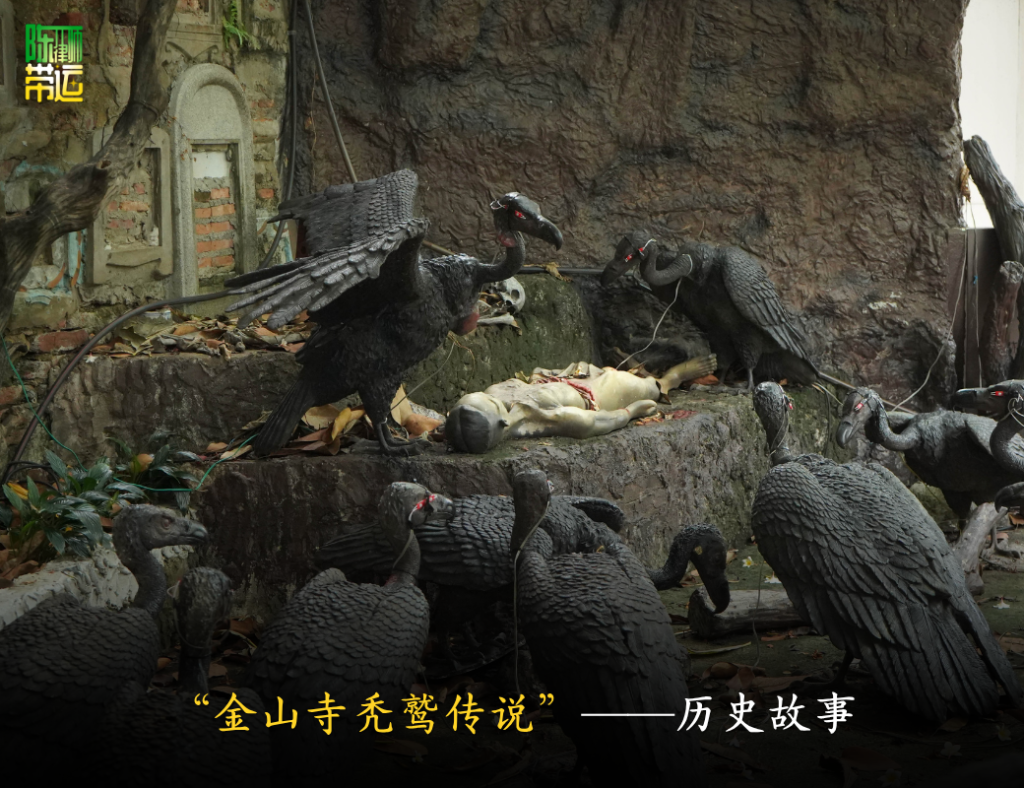 陈律师带运 4 4