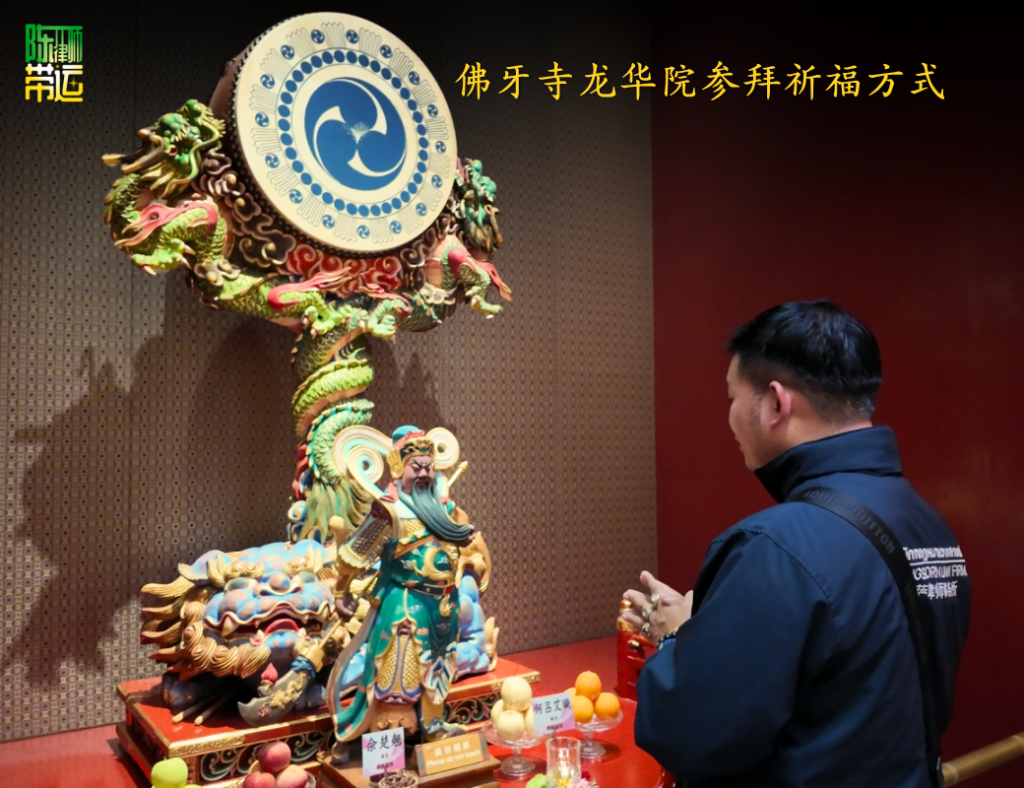 陈律师带运 4 7