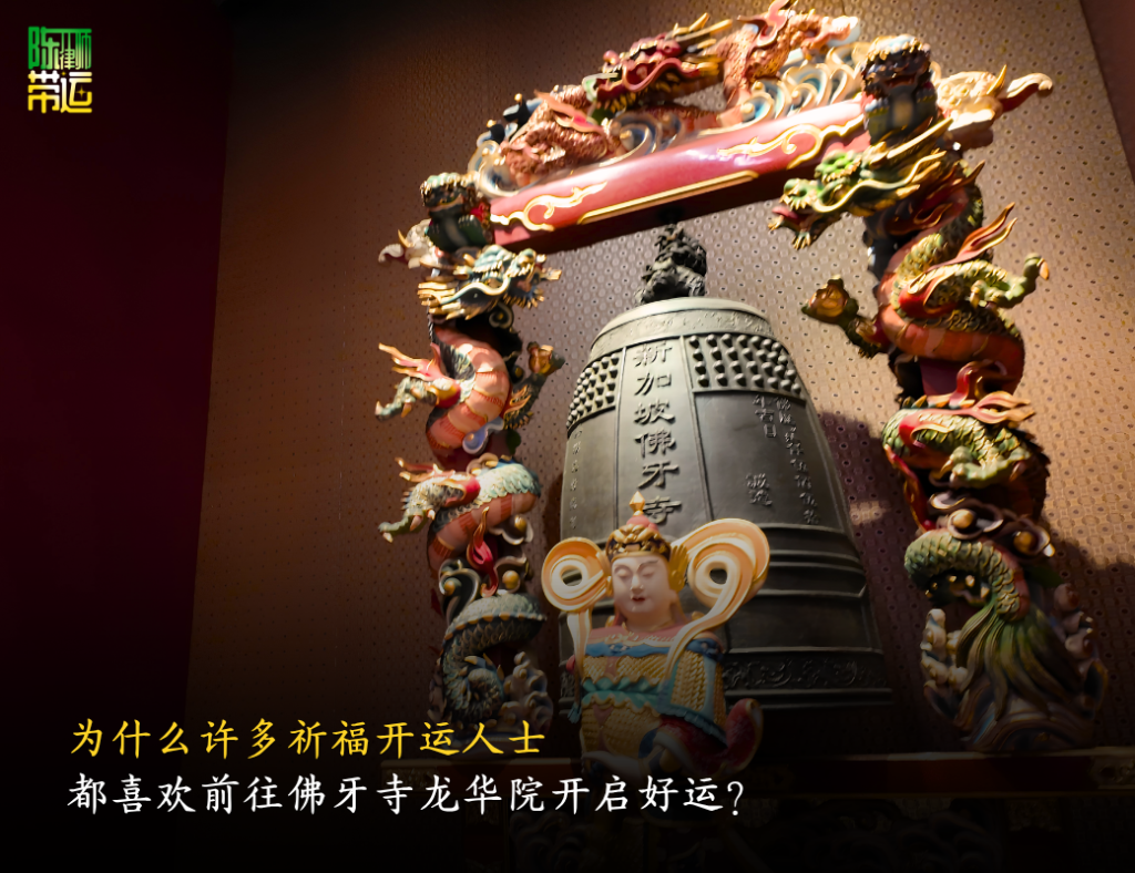 陈律师带运 5 5