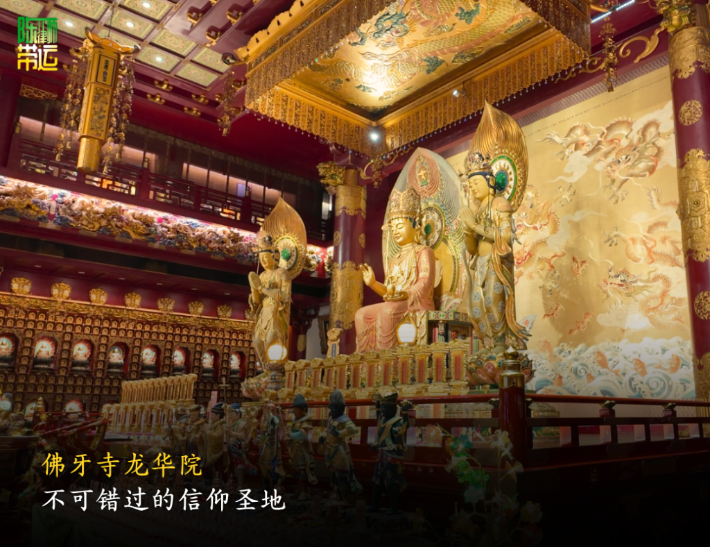 陈律师带运 6 2